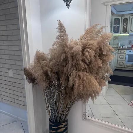 Guest house Liders17 Odesa